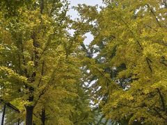 -北京信息科技大学(小营校区)