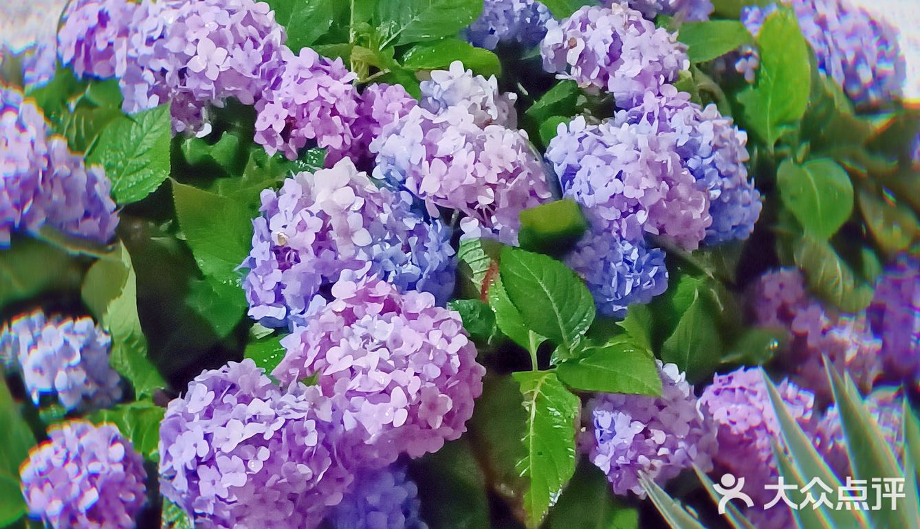 最后一天最后一小时的园博会 [加油]