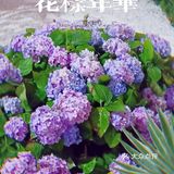 最后一天最后一小时的园博会 [加油]