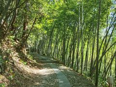 -东天目山风景区