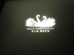 IMG_3079-BLACKSWAN黑天鹅(环球店)
