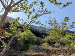 -北京密云天门山风景区