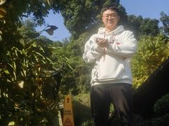 -峨眉山报国寺