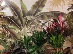 -汤连得温泉馆(宝山店)