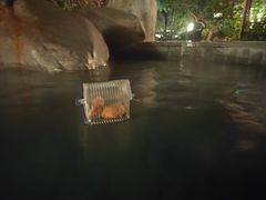 -水底山庄园温泉