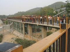 -石家庄市动物园