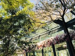 -星巴克(西湖天地店)