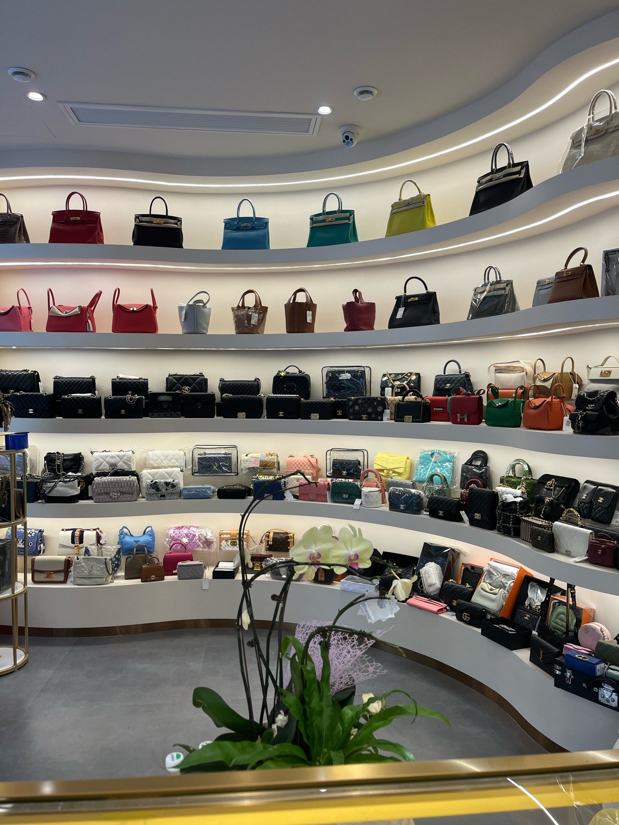 名品包包爱好者必看