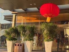 -深圳星河丽思卡尔顿酒店