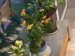 -中苑海韵