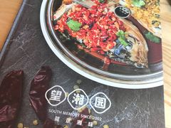 -望湘园·湖南菜(宏伊店)