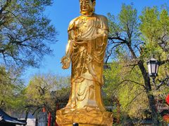 -哈尔滨极乐寺