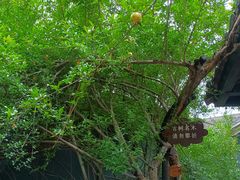 -湖南省立第一师范学校旧址