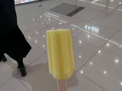一支小雪糕-左庭右院鲜牛肉火锅(浦江欢乐颂店)