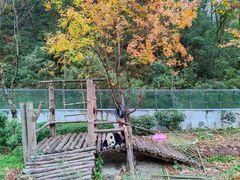 -黔灵山公园