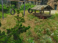 -大连森林动物园