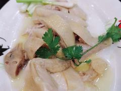 -红星光发煲仔饭(文海店)