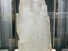 -中国地质博物馆
