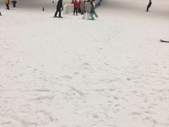 -绍兴启迪乔波冰雪世界