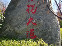 -洛龙公园