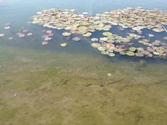 iphone_upload_pic-新江湾城公园