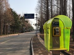 -日照海滨国家森林公园