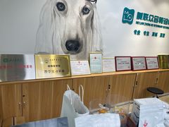 -美联众合动物医院·24h转诊中心