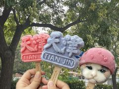 -天津五大道文化旅游区