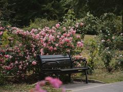 -国家植物园