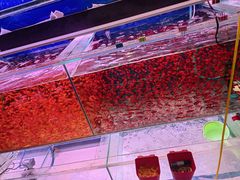 -中环花鸟鱼虫市场