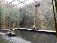 -天津海河悦榕庄·Lobby Lounge大堂吧