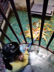 -酷嗒动物文化乐园(cutezoo西溪乐天城店)