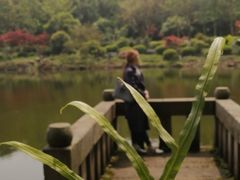 -邓小平故里