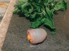 -橼舍鮨青木
