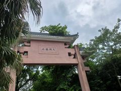 -水濂山森林公园