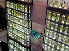 -广东中医药博物馆