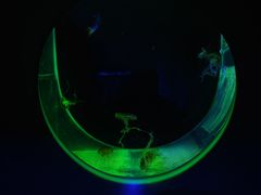 -大连圣亚海洋世界