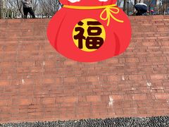 -上海山野camping·户外天幕烧烤·团建拓展营地