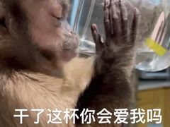 -Manner Coffee(布吉万象汇店)