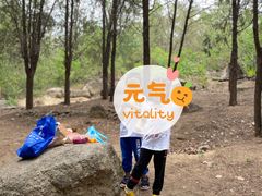-白水寺森林公园