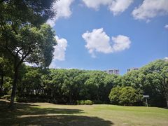 -新洲生态园