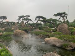 -罗红摄影艺术馆