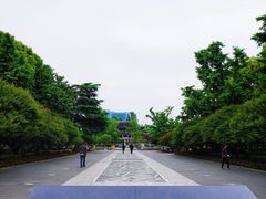 -红梅公园