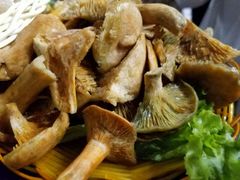 -菌海森林·非遗野生菌火锅(西山区滇池路摩根道店)
