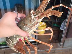 -真浪大家乐海鲜餐馆