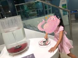 -北京科学中心儿童乐园