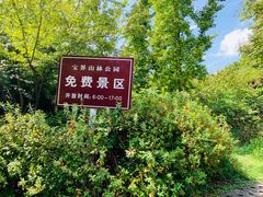 -宝界山林公园