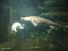 -华夏文旅海洋公园