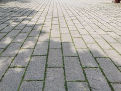 -青岛崂山太清宫