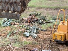 -田园寨农园观光园